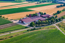 Grüner Fant UG Landschaftsgartenbau, lohn und Gartenarbeiten im Ortsteil Bodersweier in Kehl im Bundesland Baden-Württemberg, Deutschland