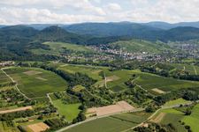 Gallenbach von Nordwesten in Baden-Baden im Bundesland Baden-Württemberg, Deutschland