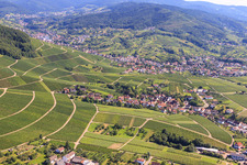 Winzerdörfer in den Rebbergen im Ortsteil Eisental in Bühl im Bundesland Baden-Württemberg, Deutschland