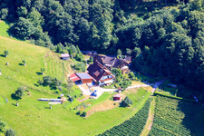 Im Hennegraben im Ortsteil Riegel in Bühl im Bundesland Baden-Württemberg, Deutschland