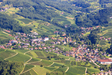 Luftbild von Winzerdorf in den Rebbergen im Ortsteil Büchelbach in Sasbachwalden im Bundesland Baden-Württemberg, Deutschland