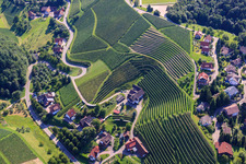 Luftbild von Weinberge bei Bernhardshöfe im Ortsteil Büchelbach in Sasbachwalden im Bundesland Baden-Württemberg, Deutschland