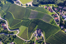 Luftbild von Kappelrodeck, Weinberge bei  Bernhardshöfe im Ortsteil Büchelbach in Sasbachwalden im Bundesland Baden-Württemberg, Deutschland