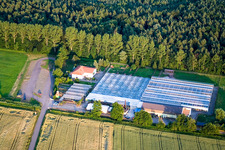 Kakteenland in Steinfeld im Bundesland Rheinland-Pfalz, Deutschland von oben