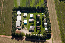 Fucheck in Malsch im Bundesland Baden-Württemberg, Deutschland