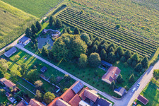 Dickemann Weber GmbH in Erlenbach bei Kandel im Bundesland Rheinland-Pfalz, Deutschland