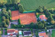Tennisclub Blau-Weiß Insheim e.V im Bundesland Rheinland-Pfalz, Deutschland