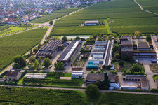 RLP Agroscience im Ortsteil Mußbach an der Weinstraße in Neustadt an der Weinstraße im Bundesland Rheinland-Pfalz, Deutschland