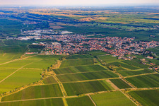 Stadtansicht von Nordwesten in Edenkoben im Bundesland Rheinland-Pfalz, Deutschland