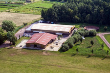 Schrägluftbild von Islandpferde-Gestüt Bienwald in Freckenfeld im Bundesland Rheinland-Pfalz, Deutschland