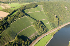 Steillage an der Saar in Serrig im Bundesland Rheinland-Pfalz, Deutschland