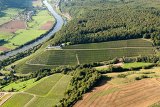 Weinbergs- Landschaft der Winzer- Gebiete vom Weingut Schloss Saarstein in Serrig am Ufer der Saar im Bundesland Rheinland-Pfalz, Deutschland
