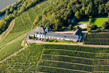 Weinbergs- Landschaft mit Weingut Schloss Saarstein über der Saar in Serrig im Bundesland im Bundesland Rheinland-Pfalz, Deutschland