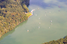 Lingenfelder Altrhein, Segelclub Lingenfeld SCLF im Bundesland Rheinland-Pfalz, Deutschland