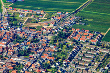 Luftbild von Dorfansicht aus Nordosten in Ellerstadt im Bundesland Rheinland-Pfalz, Deutschland