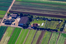 Drumm Aussiedlerhof Langgewanne in Fußgönheim im Bundesland Rheinland-Pfalz, Deutschland