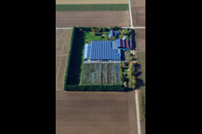 Schrägluftbild von Sudetenhof in Steinweiler im Bundesland Rheinland-Pfalz, Deutschland