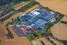 Schrägluftbild von Geranien Endisch GmbH in Hagenbach im Bundesland Rheinland-Pfalz, Deutschland
