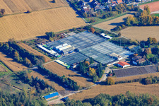 Geranien Endisch GmbH in Hagenbach im Bundesland Rheinland-Pfalz, Deutschland von einer Drohne aus