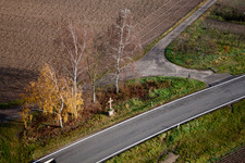 Baumreihe und Flurkreuz an einer Landstraße an einem Feldrand in Hatzenbühl im Bundesland Rheinland-Pfalz, Deutschland