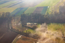 Erlenbach in Kandel im Bundesland Rheinland-Pfalz, Deutschland