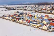 Luftbild von Ahornweg im Winter bei Schnee in Steinweiler im Bundesland Rheinland-Pfalz, Deutschland