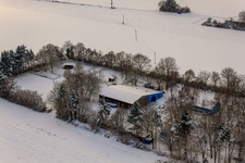 Filmtierschule Zimek, Hundepension im Winter bei Schnee in Minfeld im Bundesland Rheinland-Pfalz, Deutschland
