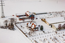 Luftaufnahme von Schoßberghof im Winter bei Schnee in Minfeld im Bundesland Rheinland-Pfalz, Deutschland