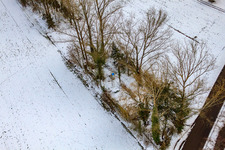 Krumböcks Hütte in Minfeld im Bundesland Rheinland-Pfalz, Deutschland