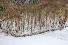 Waldfriedhof Bienwaldruhe bei Schnee im Winter in Kandel im Bundesland Rheinland-Pfalz, Deutschland