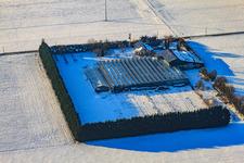 Sudetenhof bei Schnee im Winter in Steinweiler im Bundesland Rheinland-Pfalz, Deutschland