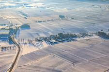 Pferdepension Hirtenbrunner Hof an der Aalmühl im Winter bei Schnee in Ilbesheim bei Landau im Bundesland Rheinland-Pfalz, Deutschland
