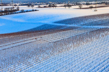 Winterarbeit in den Weinreben bei Schnee in Dierbach im Bundesland Rheinland-Pfalz, Deutschland