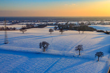 Felder und Nussbäume am Abend im Winter bei Schnee in Vollmersweiler im Bundesland Rheinland-Pfalz, Deutschland