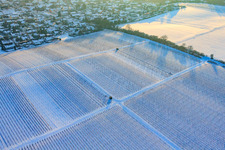 Winterarbeit in den Weinreben bei Schnee in Freckenfeld im Bundesland Rheinland-Pfalz, Deutschland