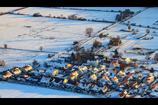 Gänsried aus Norden im Winter bei Schnee in Freckenfeld im Bundesland Rheinland-Pfalz, Deutschland