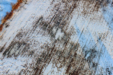 Acker bei Schnee im Winter in Minfeld im Bundesland Rheinland-Pfalz, Deutschland