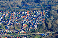 Erlenweg am Lingenfelder Althrein im Bundesland Rheinland-Pfalz, Deutschland