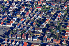 Mozartstr in Lingenfeld im Bundesland Rheinland-Pfalz, Deutschland