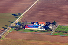 Luftbild von Binsenhof in Zeiskam im Bundesland Rheinland-Pfalz, Deutschland