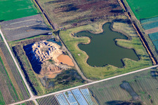 Bürgersee des Angelverein Zeiskam e.V im Bundesland Rheinland-Pfalz, Deutschland