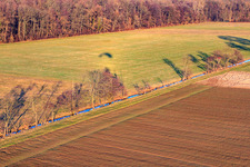 Wiesen in der Otterbachniederung in Freckenfeld im Bundesland Rheinland-Pfalz, Deutschland