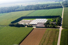 Sudetenhof in Steinweiler im Bundesland Rheinland-Pfalz, Deutschland von oben