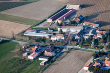 Luftbild von Steinseltz im Bundesland Bas-Rhin, Frankreich