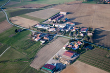 Luftaufnahme von Steinseltz im Bundesland Bas-Rhin, Frankreich