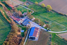 Luftbild von Weingut Anton (Produktion) Am Schambach in Herxheim bei Landau im Bundesland Rheinland-Pfalz, Deutschland