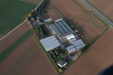 Korntal-Münchingen, Höfe am Birkemer Weg in Ditzingen im Bundesland Baden-Württemberg, Deutschland
