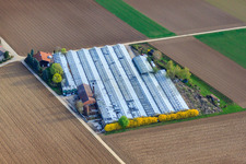 Schrägluftbild von Gärtnerei Appich in Kleines Feldle in Möglingen im Bundesland Baden-Württemberg, Deutschland