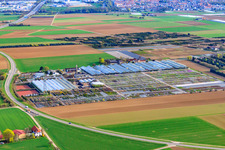 Luftbild von Häussermann Stauden + Gehölze, Im Kornfeld in Möglingen im Bundesland Baden-Württemberg, Deutschland