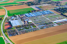 Luftaufnahme von Häussermann Stauden + Gehölze, Im Kornfeld in Möglingen im Bundesland Baden-Württemberg, Deutschland